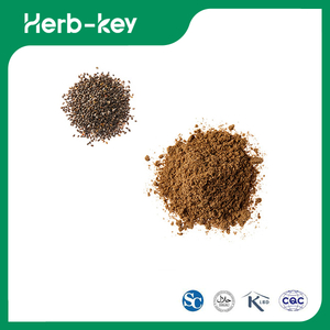 Chia Seed Powder, Organic Chia Seed Powder, Chia Seed Extract 