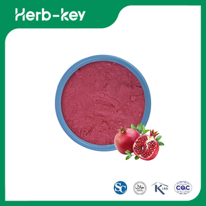 Pomegranate Juice Powder Bulk 