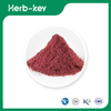 Organic Raspberry Extract Powder 