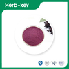 Black Elderberry Extract Powder