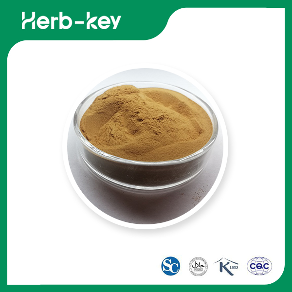Honeysuckle Extract 