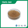Gotu Kola Extract Powder