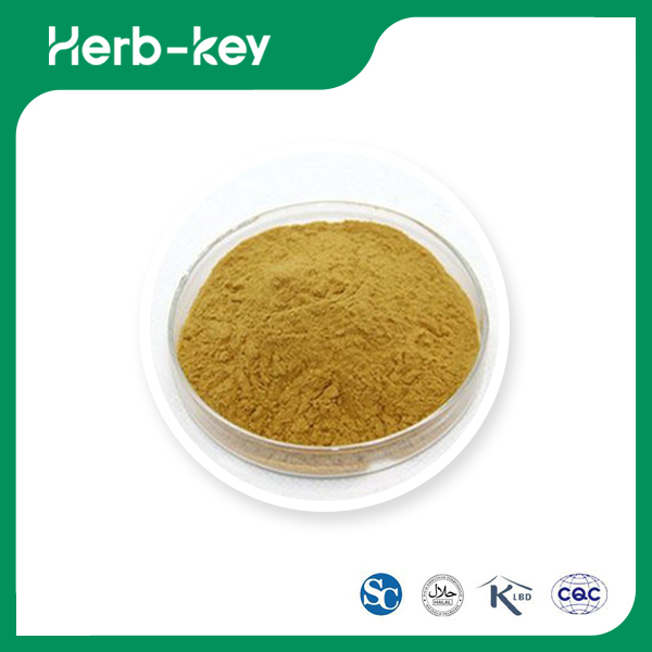 Walnut Extract 
