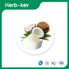 Coconut Milk Powder