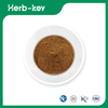 Horse Chestnut Extract Aescin Powder 