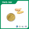 Ginger Extract Powder 