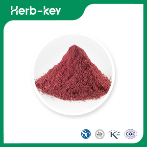 Blackberry Fruit Powder 