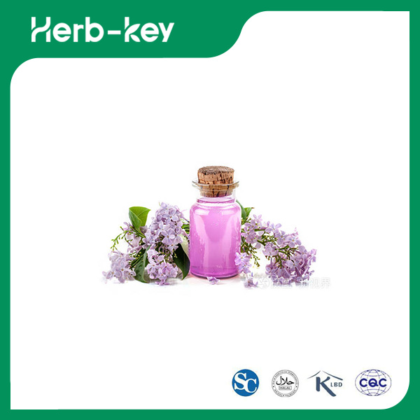 Clove Essential Oil