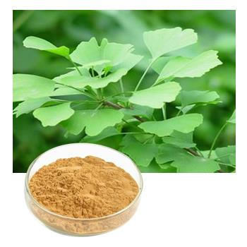 Gynostemma Extract Powder buy -Herb-key.jpg