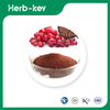 Pure Grape Seed Extract Powder 