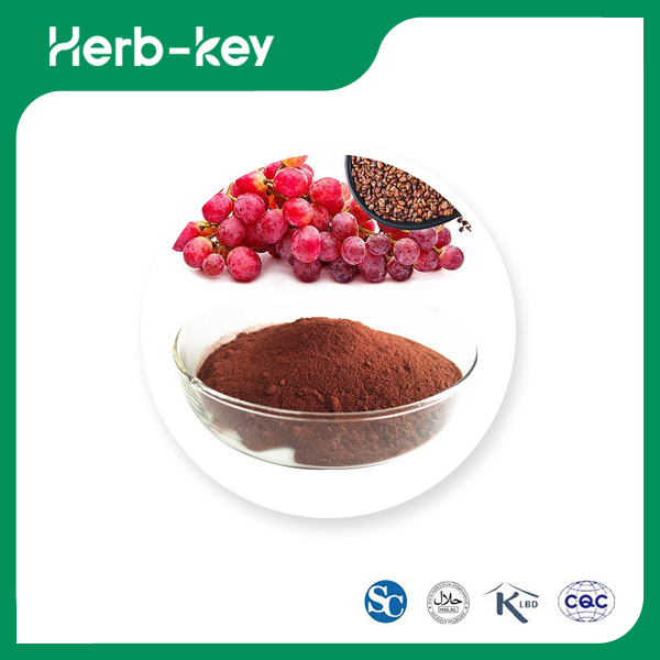 Pure Grape Seed Extract Powder 