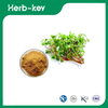 Purslane Extract/Portusana Purslane Extract 