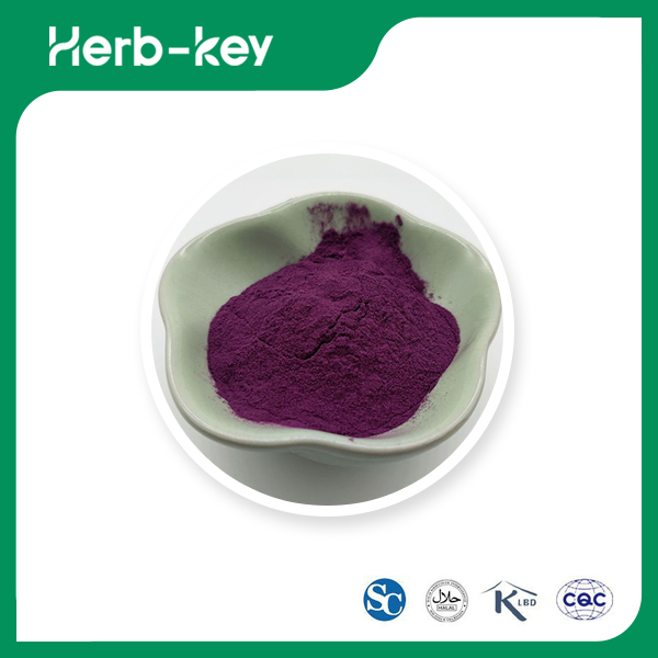 Mulberry Extract Powder