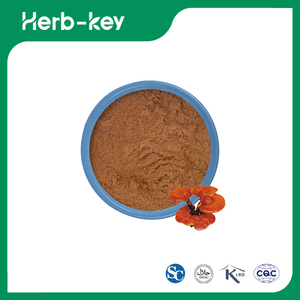 Bulk Ganoderma Extract 