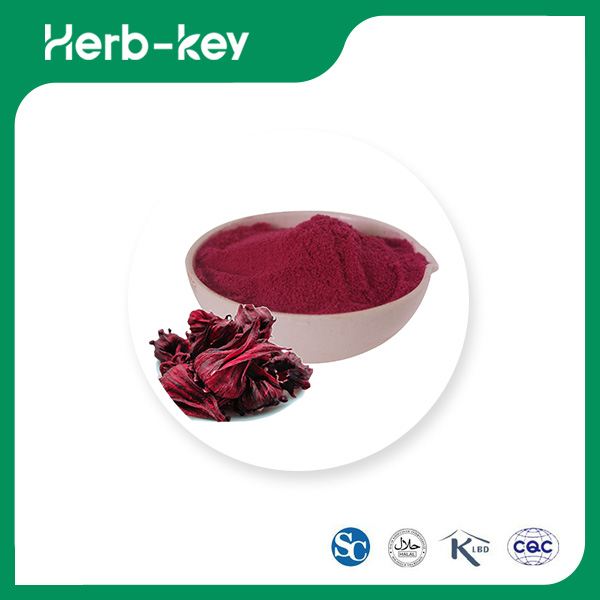 Roselle Extract Powder