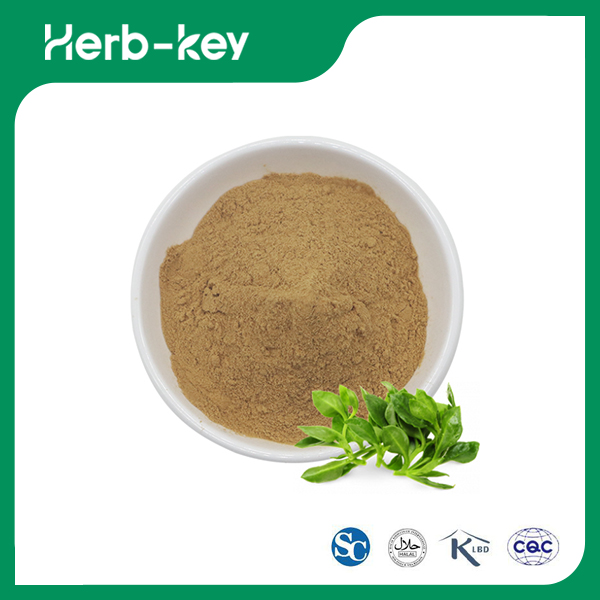 Andrographis Paniculata Extract Powder