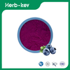Blueberry Extract Powder