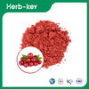 Cranberry Powder 