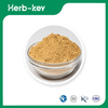 Burdock Root Powder 