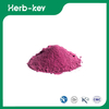 Aronia Berry Extract Powder