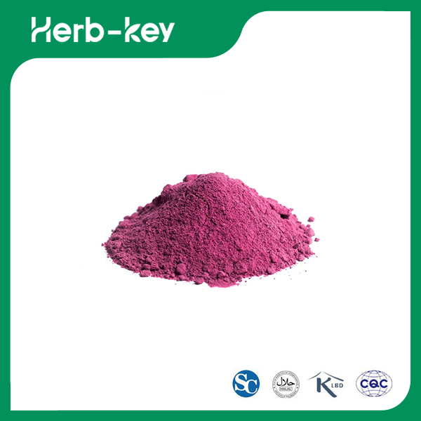 Aronia Berry Extract Powder