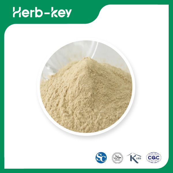 Soy Peptides Powder 