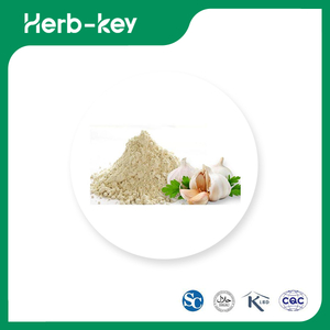Garlic Extract Powder