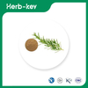 Rosemary Extract Powder