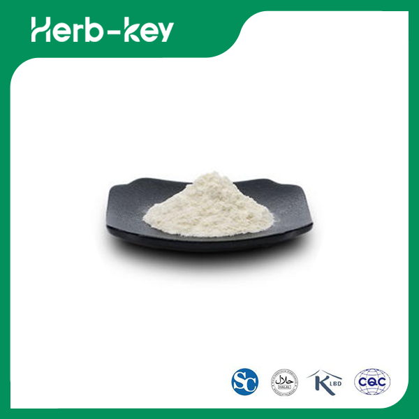 Luo Han Guo Extract Powder