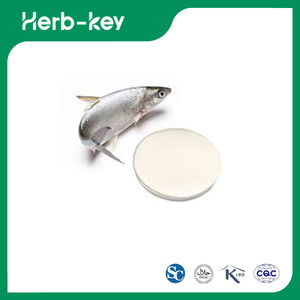 High Quality Fish Collagen 
