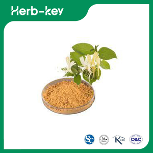 Lonicera Japonica Flower Extract 