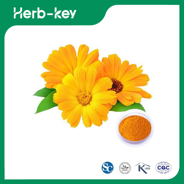 Calendula Flower Extract 
