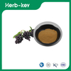 Ligustrum Extract