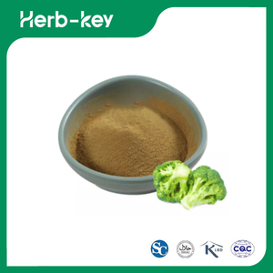 Broccoli Sprout Extract Powder 