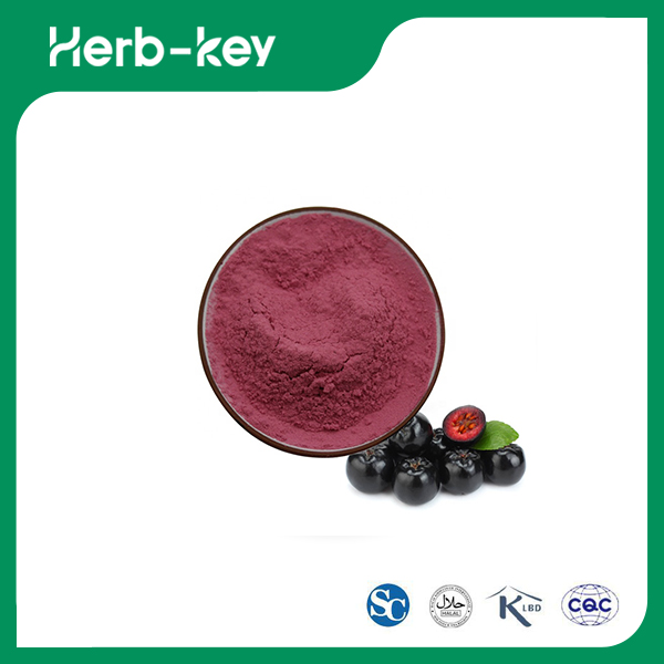 Black Aronia Chokeberry Fruit Powder 