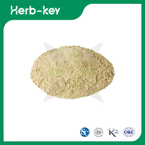 Hericium Erinaceus Powder 
