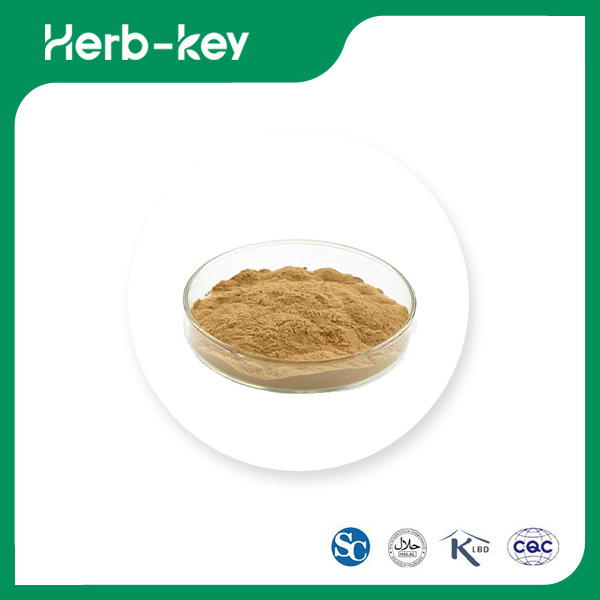 Olive Polyphenols