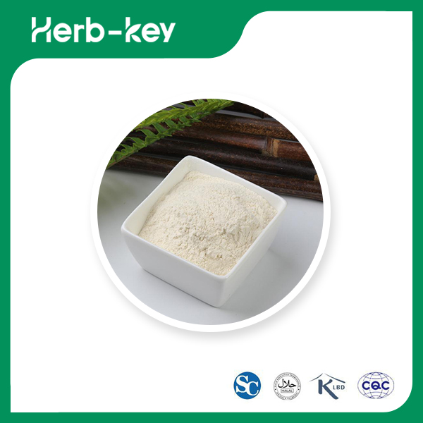 Onion Juice Powder 
