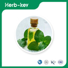 Cornmint Essential Oil