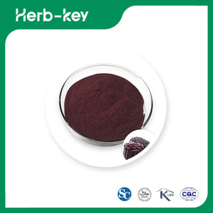 Purple Corn Extract Powder Anthocyanidins