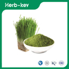 Barley Grass Powder for Lose Weight 