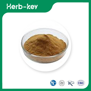 Hops Extract Powder 