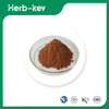 Cinnamon Extract Powder