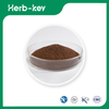 Ganoderma Extract Powder