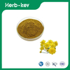 Chrysanthemum Extract